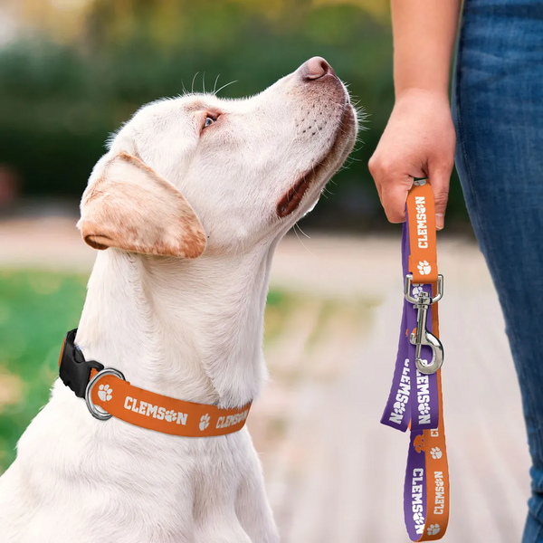 Clemson Tigers Pet Collar