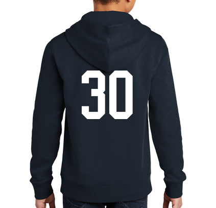 Palmetto Lions Youth Hoodie- Navy