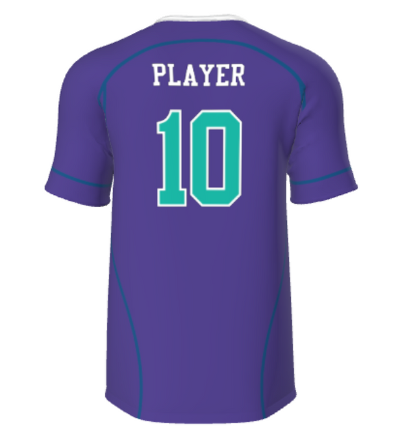 ILL Penguins Sleeve Tee- Youth