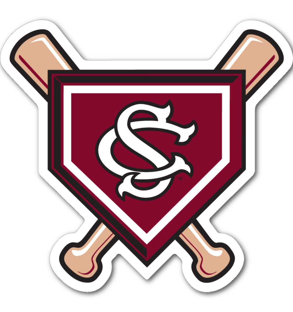 South Carolina Gamecocks 3