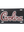 South Carolina Gamecocks Carolina Script License Plate