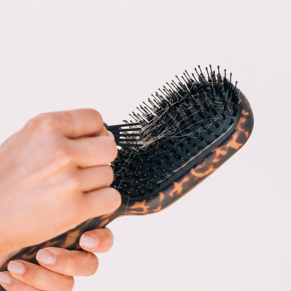 Teleties Boar Bristle Brush- Tortoise