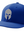 Palmetto Spartans Flex Fit Cap- Royal Blue