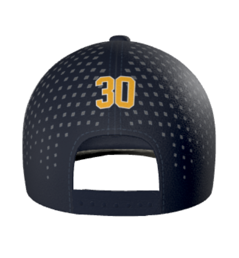 Palmetto Lions Ultima Snapback Cap- Navy